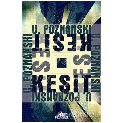 Kesit - Ursula Poznanski - Pegasus Yayınları