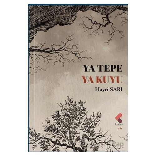 Ya Tepe Ya Kuyu - Hayri Sarı - Klaros Yayınları