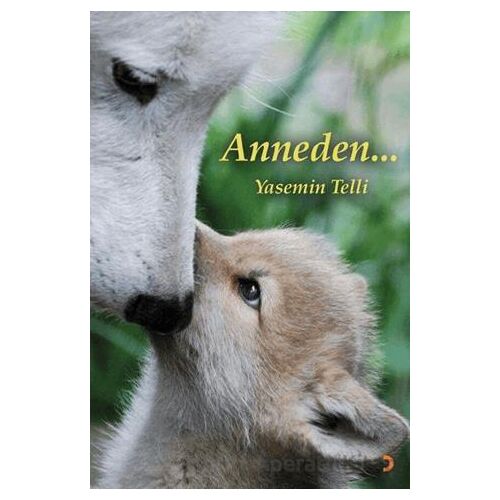 Anneden… - Yasemin Telli - Cinius Yayınları