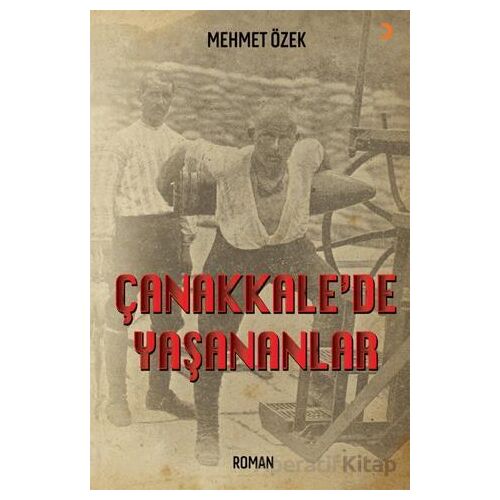 Çanakkale’de Yaşananlar - Mehmet Özek - Cinius Yayınları