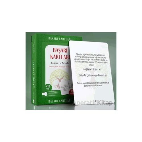 Başarı Kartları - Yasemin Mutlu - Sokak Kitapları Yayınları