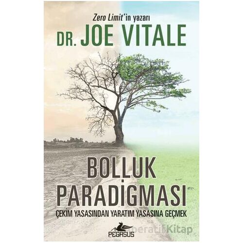 Bolluk Paradigması - Joe Vitale - Pegasus Yayınları