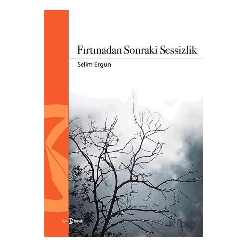Fırtınadan Sonraki Sessizlik - Selim Ergun - Hayal Yayınları