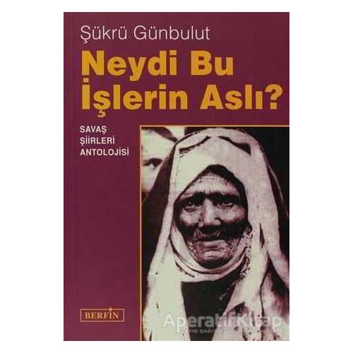 Neydi Bu İşlerin Aslı? - Şükrü Günbulut - Berfin Yayınları