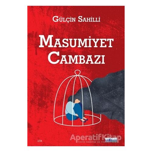 Masumiyet Cambazı - Gülçin Sahilli - Favori Yayınları
