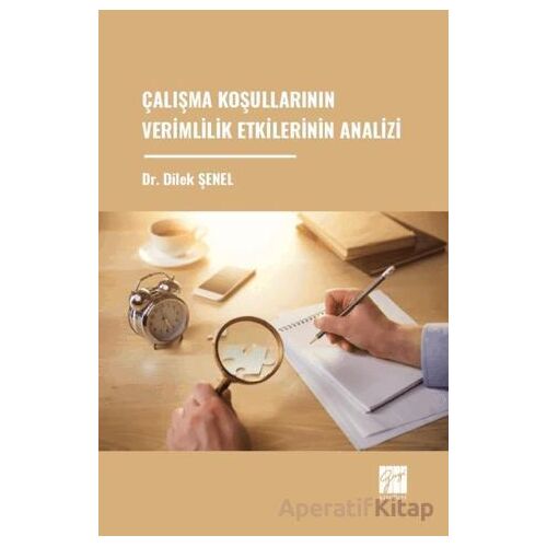 Çalışma Koşullarının Verimlilik Etkilerinin Analizi - Dilek Şenel - Gazi Kitabevi
