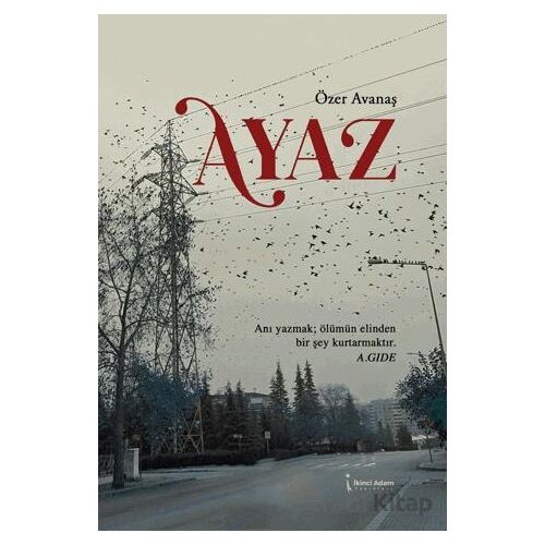 Ayaz - Özer Avanaş - İkinci Adam Yayınları