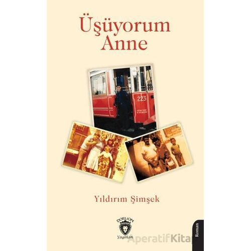 Üşüyorum Anne - Yıldırım Şimşek - Dorlion Yayınları