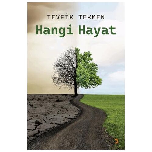Hangi Hayat - Tevfik Tekmen - Cinius Yayınları