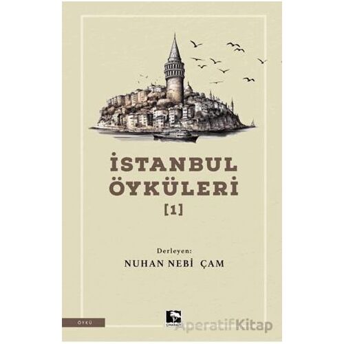 İstanbul Öyküleri 1 - Kolektif - Çınaraltı Yayınları