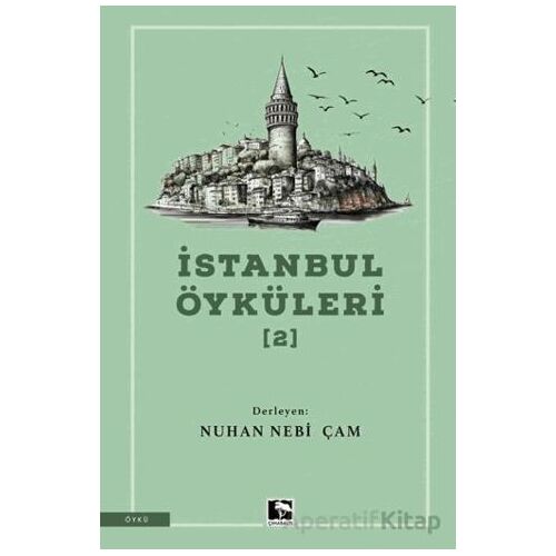 İstanbul Öyküleri 2 - Kolektif - Çınaraltı Yayınları