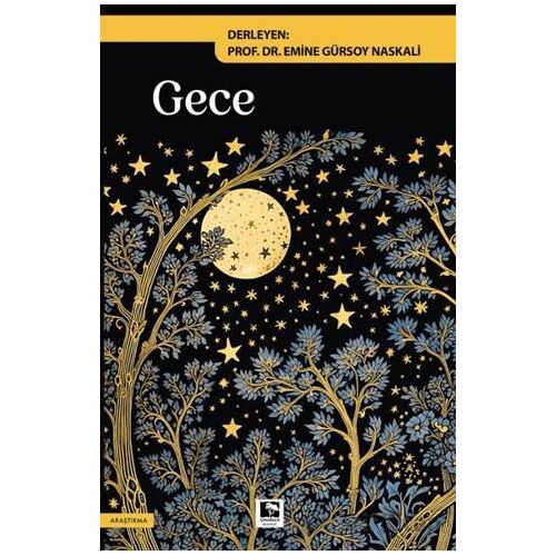 Gece - Kolektif - Çınaraltı Yayınları