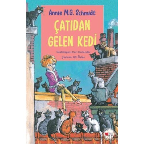 Çatıdan Gelen Kedi - Annie M.G. Schmidt - Can Çocuk Yayınları