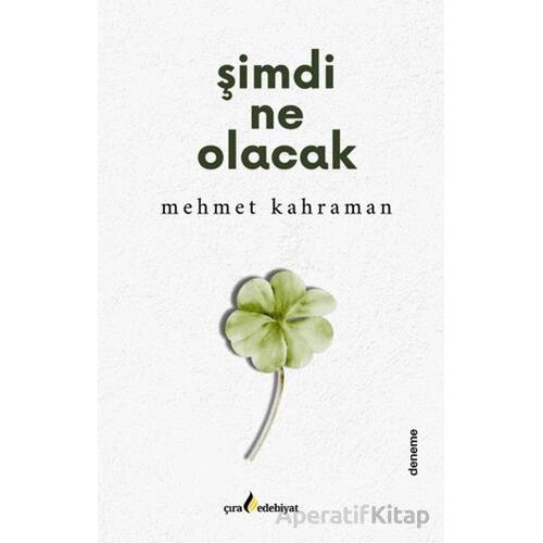 Şimdi Ne Olacak - Mehmet Kahraman - Çıra Yayınları