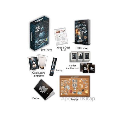 Kardan Adamın Külleri - Kutulu Set - Işıl Işık - Artemis Yayınları