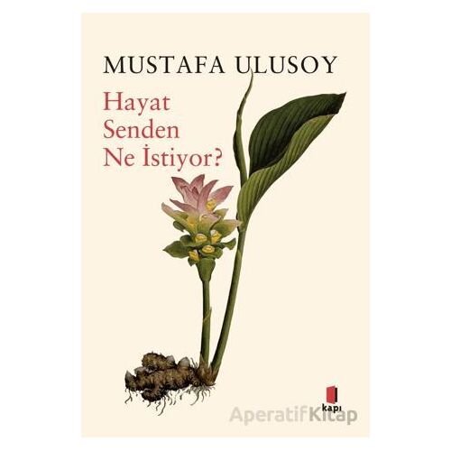 Hayat Senden Ne İstiyor? - Mustafa Ulusoy - Kapı Yayınları