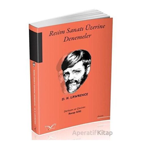 Resim Sanatı Üzerine Denemeler - David Herbert Richards Lawrence - Medakitap Yayınları