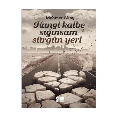 Hangi Kalbe Sığınsam Sürgün Yeri - Mehmet Akay - Şiirden Yayıncılık