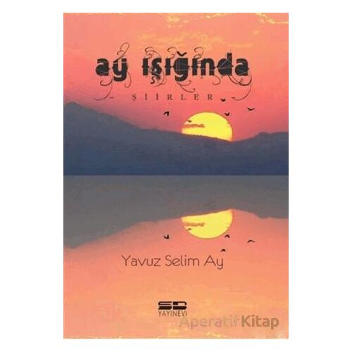 Ay Işığında - Yavuz Selim Ay - SD Yayınevi