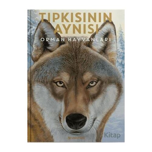 Tıpkısının Aynısı - Holger Haag - Usturlab Kitap