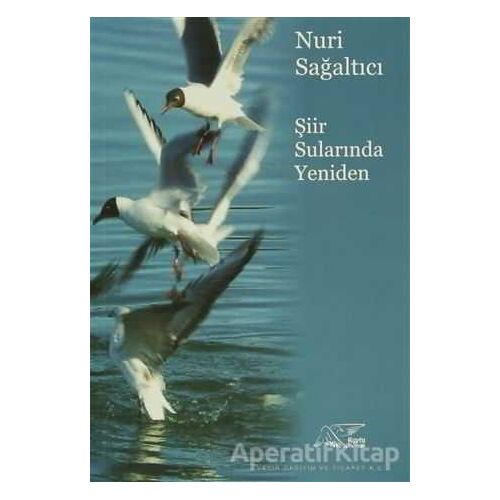 Şiir Sularında Yeniden - Nuri Sağaltıcı - Kuytu Yayınları
