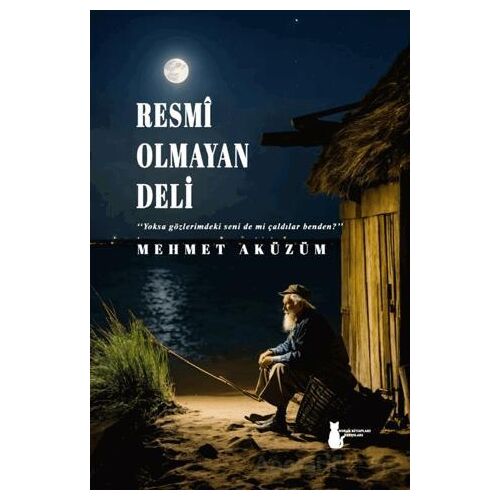 Resmi Olmayan Deli - Mehmet Aküzüm - Sokak Kitapları Yayınları