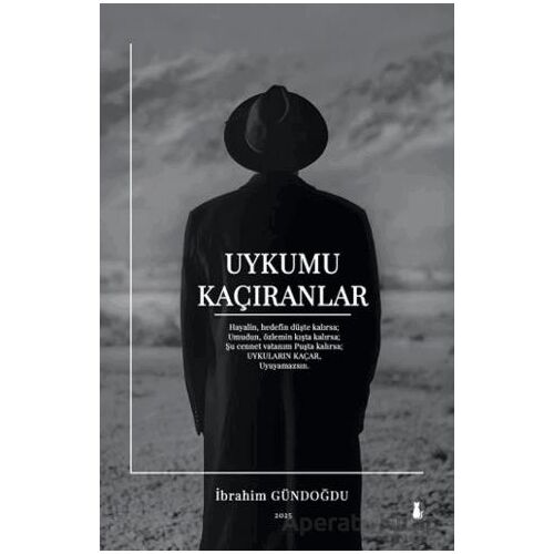 Uykumu Kaçıranlar - İbrahim Gündoğdu - Sokak Kitapları Yayınları