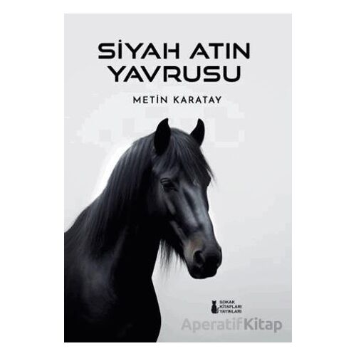 Siyah Atın Yavrusu - Metin Karatay - Sokak Kitapları Yayınları
