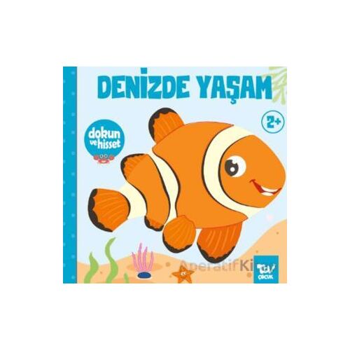 Dokun ve Hisset Denizde Yaşam - Kolektif - Türkiye Diyanet Vakfı Yayınları