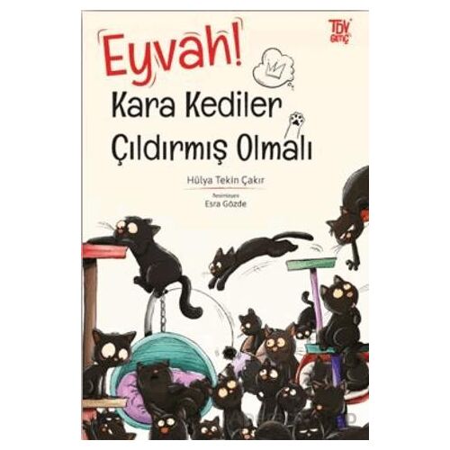 Eyvah Kara Kediler Çıldırmış Olmalı - Hülya Tekin Çakır - Türkiye Diyanet Vakfı Yayınları