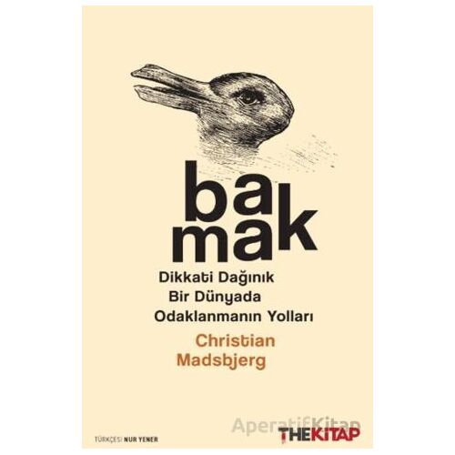 Bakmak - Christian Madsbjerg - The Kitap