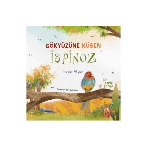 Gökyüzüne Küsen İspinoz - Eyyüp Akyüz - Zarif Yayınları