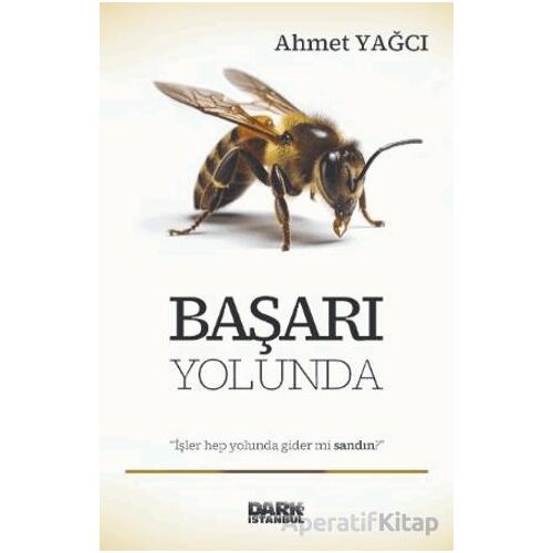 Başarı Yolunda - Ahmet Yağcı - Dark İstanbul