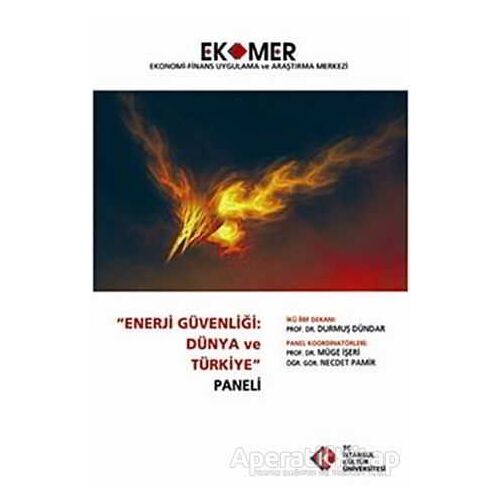 Enerji Güvenliği : Dünya ve Türkiye Paneli 2010