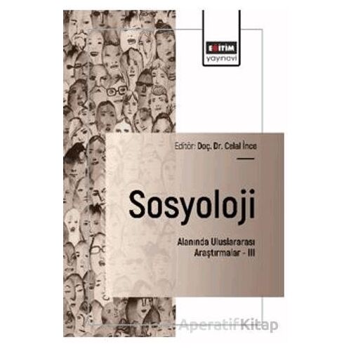 Sosyoloji Alanında Uluslararası Araştırmalar – III