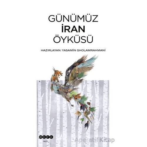 Günümüz İran Öyküsü - Kolektif - Hece Yayınları