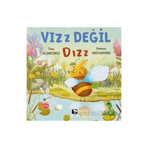 Vız Değil Dız - Aslıhan Cengiz - Çınaraltı Yayınları