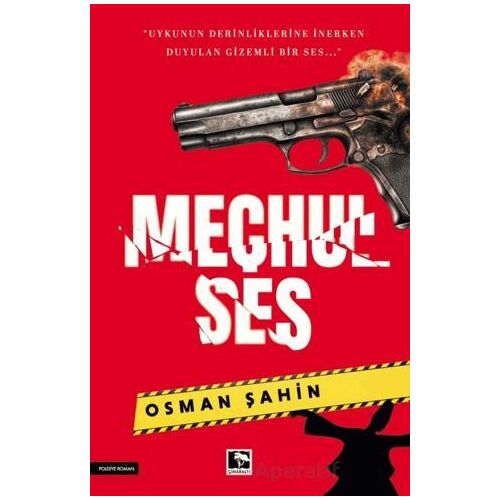Meçhul Ses - Osman Şahin - Çınaraltı Yayınları