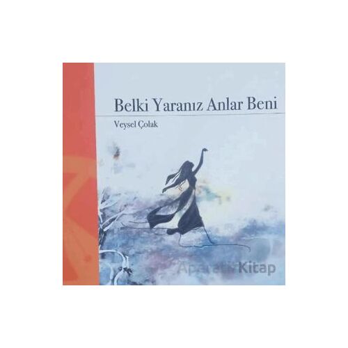 Belki Yaranız Anlar Beni - Veysel Çolak - Hayal Yayınları