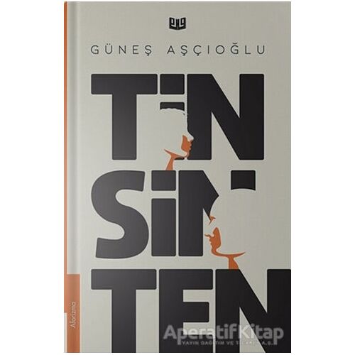 Tin Sin Ten - Güneş Aşçıoğlu - Vaveyla Yayıncılık