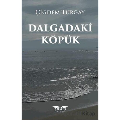 Dalgadaki Köpük - Çiğdem Turgay - Perseus