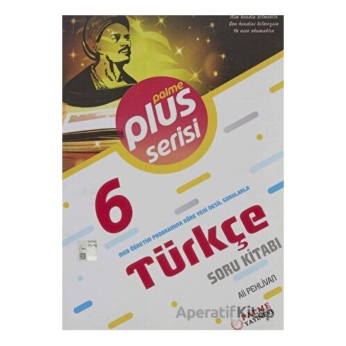 6.SINIF PLUS SERİSİ TÜRKÇE SORU KİTABI