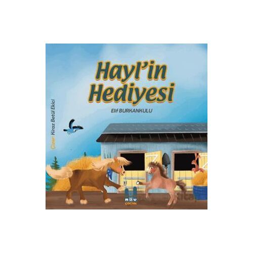 Hayl’in Hediyesi - Elif Burkankulu - Mgv Yayınları