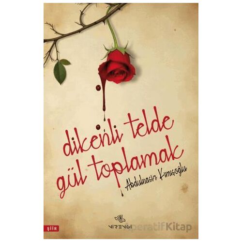 Dikenli Telde Gül Toplamak - Abdulnasir Kımışoğlu - Nirengi Yayınları
