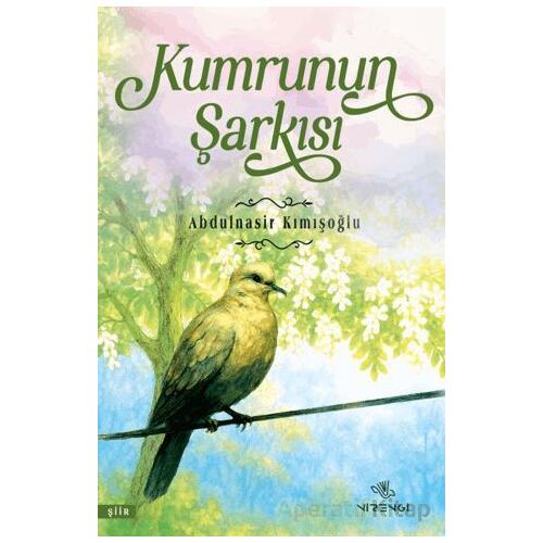 Kumrunun Şarkısı - Abdulnasir Kımışoğlu - Nirengi Yayınları