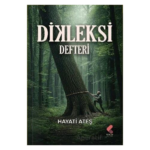 Dikleksi Defteri - Hayati Ateş - Klaros Yayınları