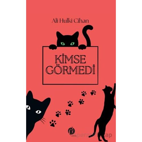 Kimse Görmedi - Ali Hulki Cihan - Herdem Kitap