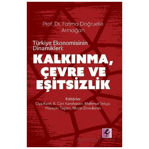 Türkiye Ekonomisinin Dinamikleri: Kalkınma, Çevre ve Eşitsizlik - Kolektif - Efil Yayınevi