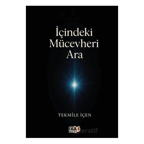 İçindeki Mücevheri Ara - Tekmile İçen - Tilki Kitap