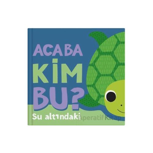 Acaba Kim Bu? – Su Altındaki - Luke Robertson - İndigo Çocuk